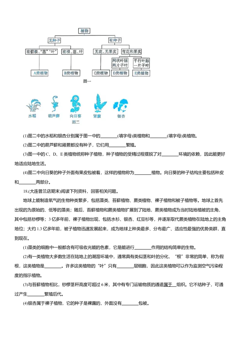 2026年中考生物复习专题练习：专题四藻类和植物（含答案）_6生物中考复习_2026年中考复习（更新中）_2026年中考生物一轮复习专题练习（含答案）