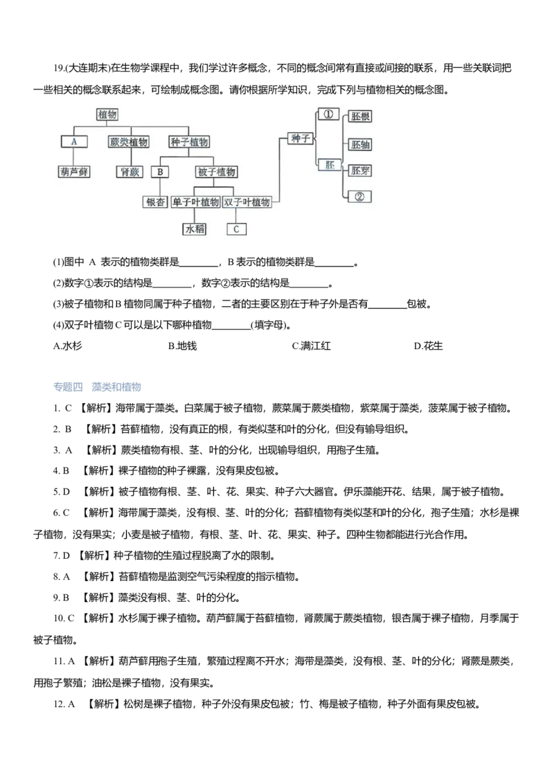 2026年中考生物复习专题练习：专题四藻类和植物（含答案）_6生物中考复习_2026年中考复习（更新中）_2026年中考生物一轮复习专题练习（含答案）