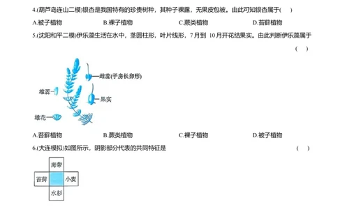 2026年中考生物复习专题练习：专题四藻类和植物（含答案）_6生物中考复习_2026年中考复习（更新中）_2026年中考生物一轮复习专题练习（含答案）