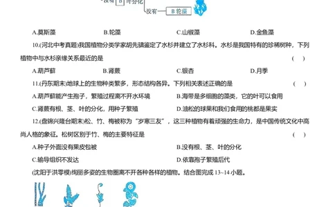 2026年中考生物复习专题练习：专题四藻类和植物（含答案）_6生物中考复习_2026年中考复习（更新中）_2026年中考生物一轮复习专题练习（含答案）