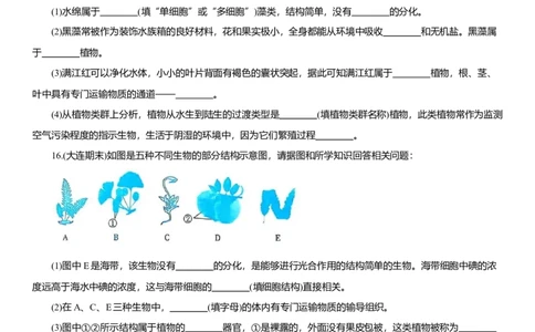 2026年中考生物复习专题练习：专题四藻类和植物（含答案）_6生物中考复习_2026年中考复习（更新中）_2026年中考生物一轮复习专题练习（含答案）