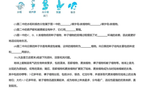 2026年中考生物复习专题练习：专题四藻类和植物（含答案）_6生物中考复习_2026年中考复习（更新中）_2026年中考生物一轮复习专题练习（含答案）