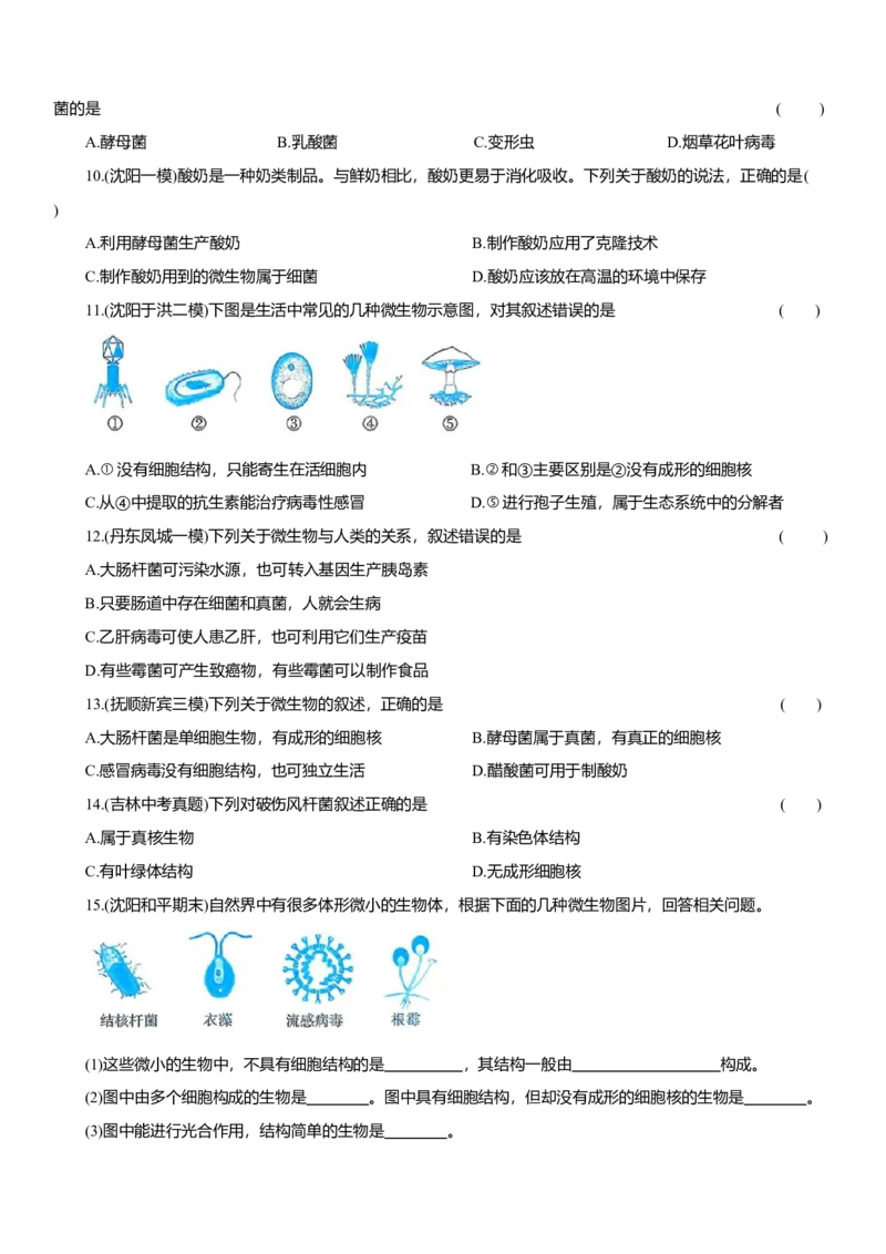 2026年中考生物复习专题练习：专题六微生物（含答案）_6生物中考复习_2026年中考复习（更新中）_2026年中考生物一轮复习专题练习（含答案）