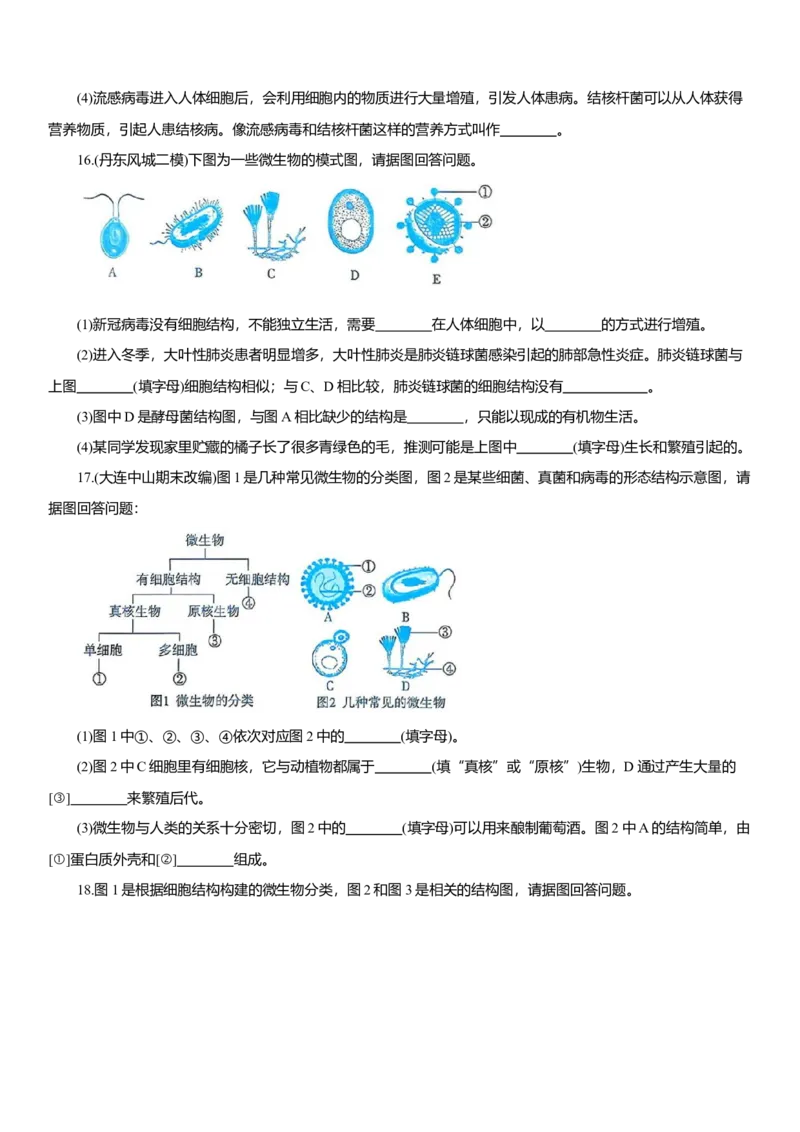 2026年中考生物复习专题练习：专题六微生物（含答案）_6生物中考复习_2026年中考复习（更新中）_2026年中考生物一轮复习专题练习（含答案）