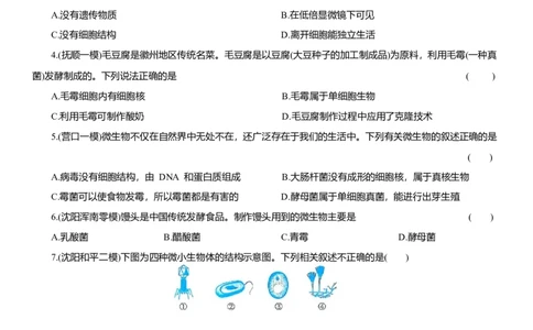 2026年中考生物复习专题练习：专题六微生物（含答案）_6生物中考复习_2026年中考复习（更新中）_2026年中考生物一轮复习专题练习（含答案）
