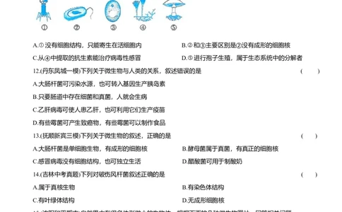 2026年中考生物复习专题练习：专题六微生物（含答案）_6生物中考复习_2026年中考复习（更新中）_2026年中考生物一轮复习专题练习（含答案）