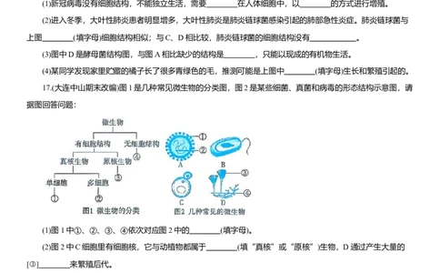 2026年中考生物复习专题练习：专题六微生物（含答案）_6生物中考复习_2026年中考复习（更新中）_2026年中考生物一轮复习专题练习（含答案）