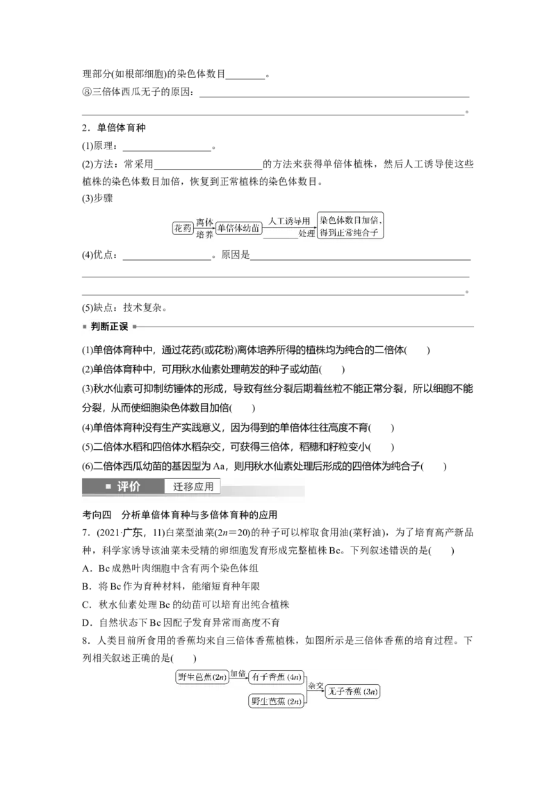 第七单元　第34课时　染色体变异_2025年新高考资料_一轮复习_2025大一轮复习讲义+课件（完结）_2025大一轮复习讲义生物学生用书Word版文档整书_2025大一轮复习讲义