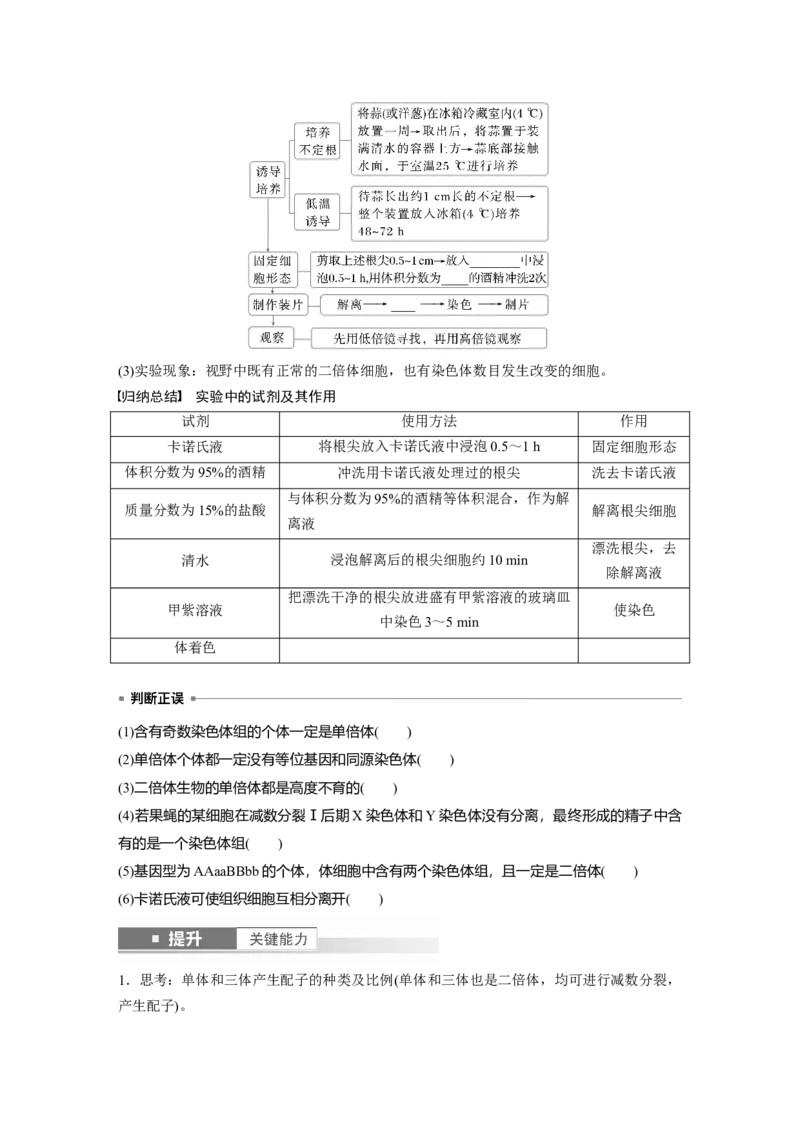 第七单元　第34课时　染色体变异_2025年新高考资料_一轮复习_2025大一轮复习讲义+课件（完结）_2025大一轮复习讲义生物学生用书Word版文档整书_2025大一轮复习讲义