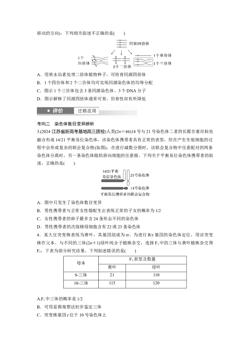 第七单元　第34课时　染色体变异_2025年新高考资料_一轮复习_2025大一轮复习讲义+课件（完结）_2025大一轮复习讲义生物学生用书Word版文档整书_2025大一轮复习讲义