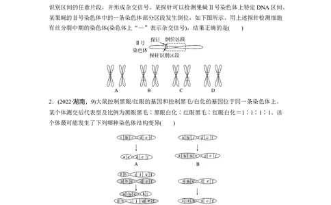 第七单元　第34课时　染色体变异_2025年新高考资料_一轮复习_2025大一轮复习讲义+课件（完结）_2025大一轮复习讲义生物学生用书Word版文档整书_2025大一轮复习讲义