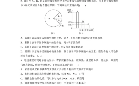 第一单元　课时练2组成细胞的元素和化合物_2025年新高考资料_一轮复习_2025大一轮复习讲义+课件（完结）_2025大一轮复习讲义生物学生用书Word版文档整书_2025一轮复习73练