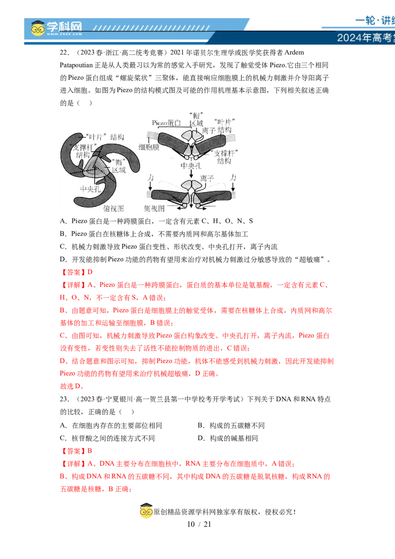 第一单元细胞的概述及其分子组成（解析版）_新高考复习资料_2024年新高考复习资料_一轮复习资料_完2024年高考生物一轮复习讲练测(课件+讲义+练习)（新高考）_单元测试