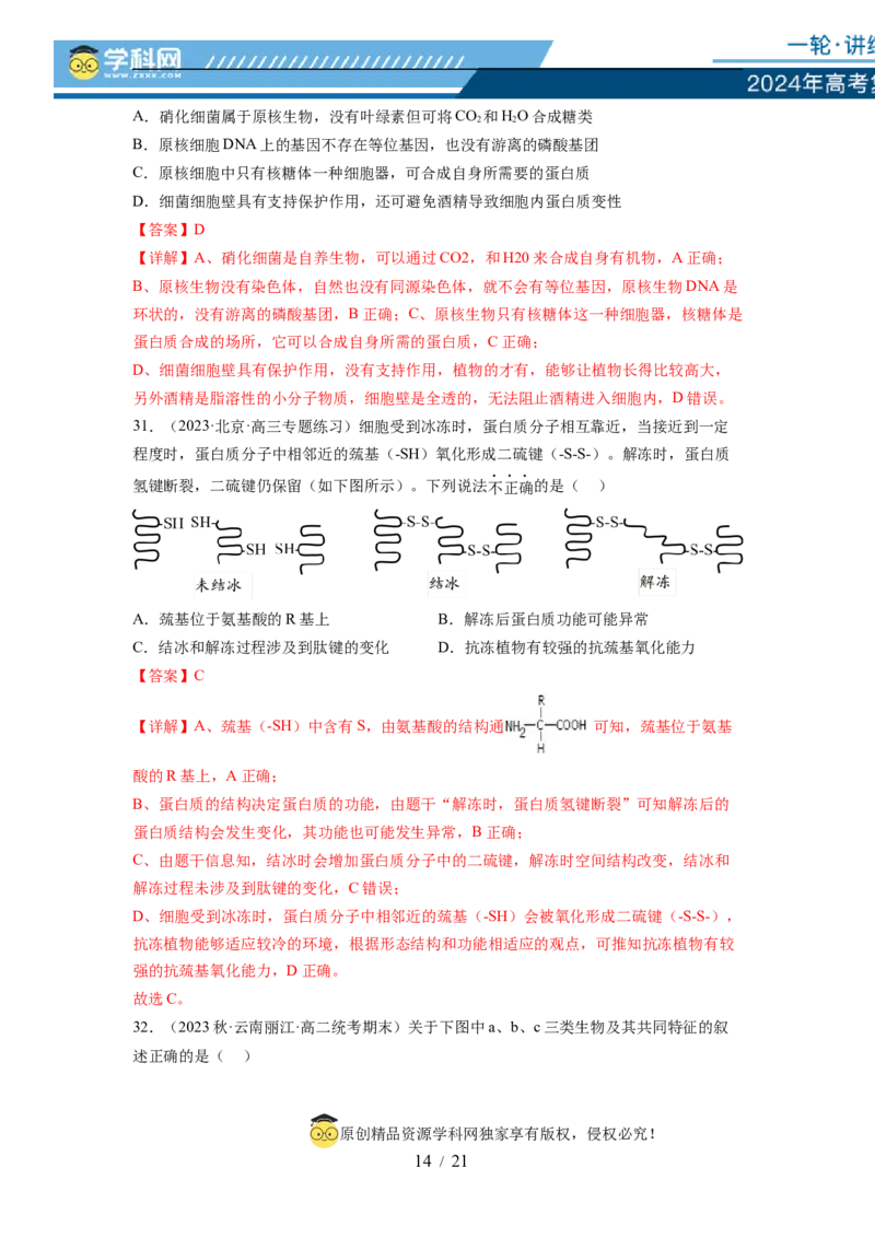 第一单元细胞的概述及其分子组成（解析版）_新高考复习资料_2024年新高考复习资料_一轮复习资料_完2024年高考生物一轮复习讲练测(课件+讲义+练习)（新高考）_单元测试