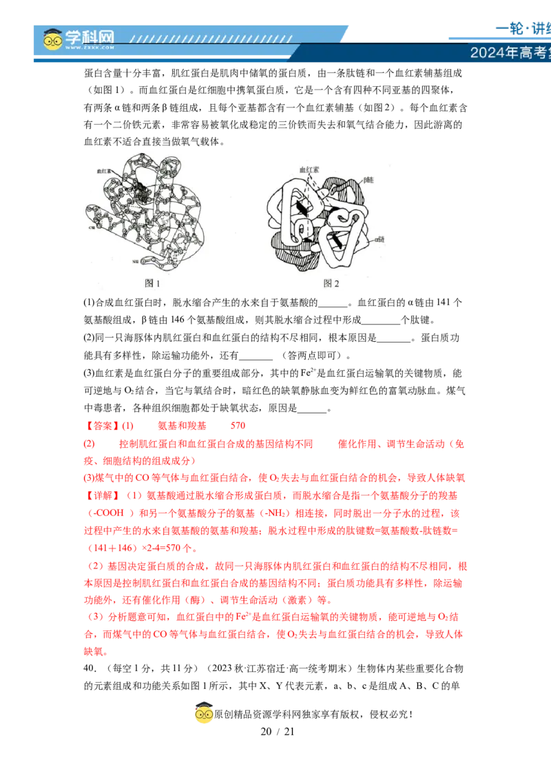 第一单元细胞的概述及其分子组成（解析版）_新高考复习资料_2024年新高考复习资料_一轮复习资料_完2024年高考生物一轮复习讲练测(课件+讲义+练习)（新高考）_单元测试