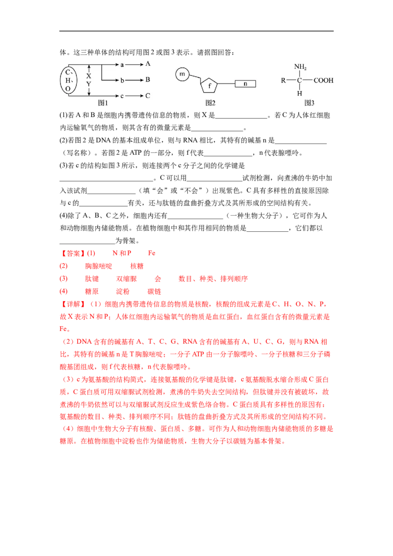 第一单元细胞的概述及其分子组成（解析版）_新高考复习资料_2024年新高考复习资料_一轮复习资料_完2024年高考生物一轮复习讲练测(课件+讲义+练习)（新高考）_单元测试