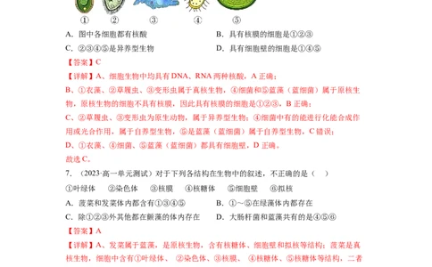 第一单元细胞的概述及其分子组成（解析版）_新高考复习资料_2024年新高考复习资料_一轮复习资料_完2024年高考生物一轮复习讲练测(课件+讲义+练习)（新高考）_单元测试