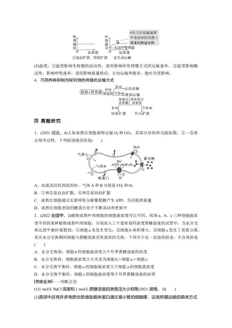 第一篇专题一考点四　物质跨膜运输的方式_通用版（老高考）复习资料_2023年复习资料_二轮复习_2023年高考生物二轮复习讲义+课件（全国版）_2023年高考生物二轮复习讲义（全国版）