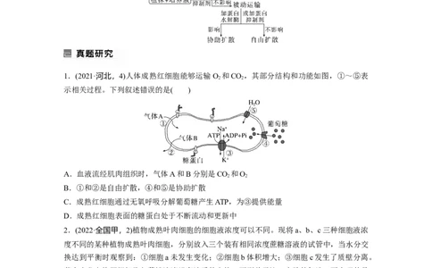 第一篇专题一考点四　物质跨膜运输的方式_通用版（老高考）复习资料_2023年复习资料_二轮复习_2023年高考生物二轮复习讲义+课件（全国版）_2023年高考生物二轮复习讲义（全国版）