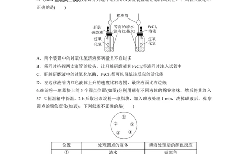 第三单元　课时练11降低化学反应活化能的酶_2025年新高考资料_一轮复习_2025大一轮复习讲义+课件（完结）_2025大一轮复习讲义生物学生用书Word版文档整书_2025一轮复习73练