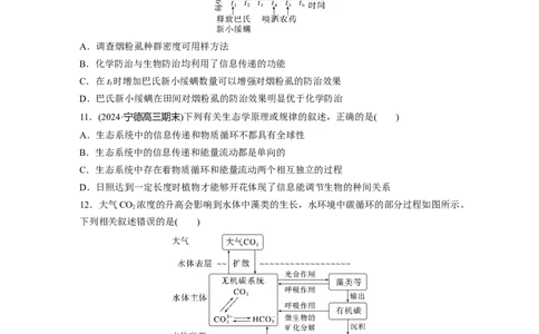 第九单元　课时练53　生态系统的物质循环、信息传递_2025年新高考资料_一轮复习_2025大一轮复习讲义+课件（完结）_2025大一轮复习讲义生物学生用书Word版文档整书_2025一轮复习73练