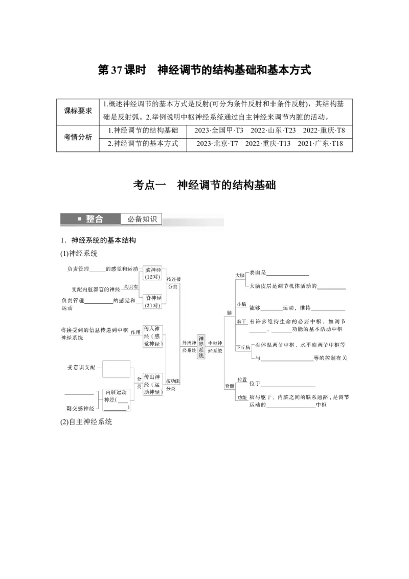 第八单元　第37课时　神经调节的结构基础和基本方式_2025年新高考资料_一轮复习_2025大一轮复习讲义+课件（完结）_2025大一轮复习讲义生物学生用书Word版文档整书_2025大一轮复习讲义