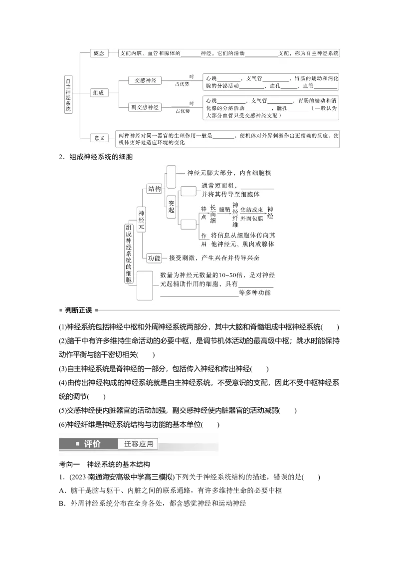 第八单元　第37课时　神经调节的结构基础和基本方式_2025年新高考资料_一轮复习_2025大一轮复习讲义+课件（完结）_2025大一轮复习讲义生物学生用书Word版文档整书_2025大一轮复习讲义