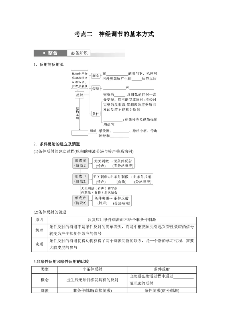 第八单元　第37课时　神经调节的结构基础和基本方式_2025年新高考资料_一轮复习_2025大一轮复习讲义+课件（完结）_2025大一轮复习讲义生物学生用书Word版文档整书_2025大一轮复习讲义
