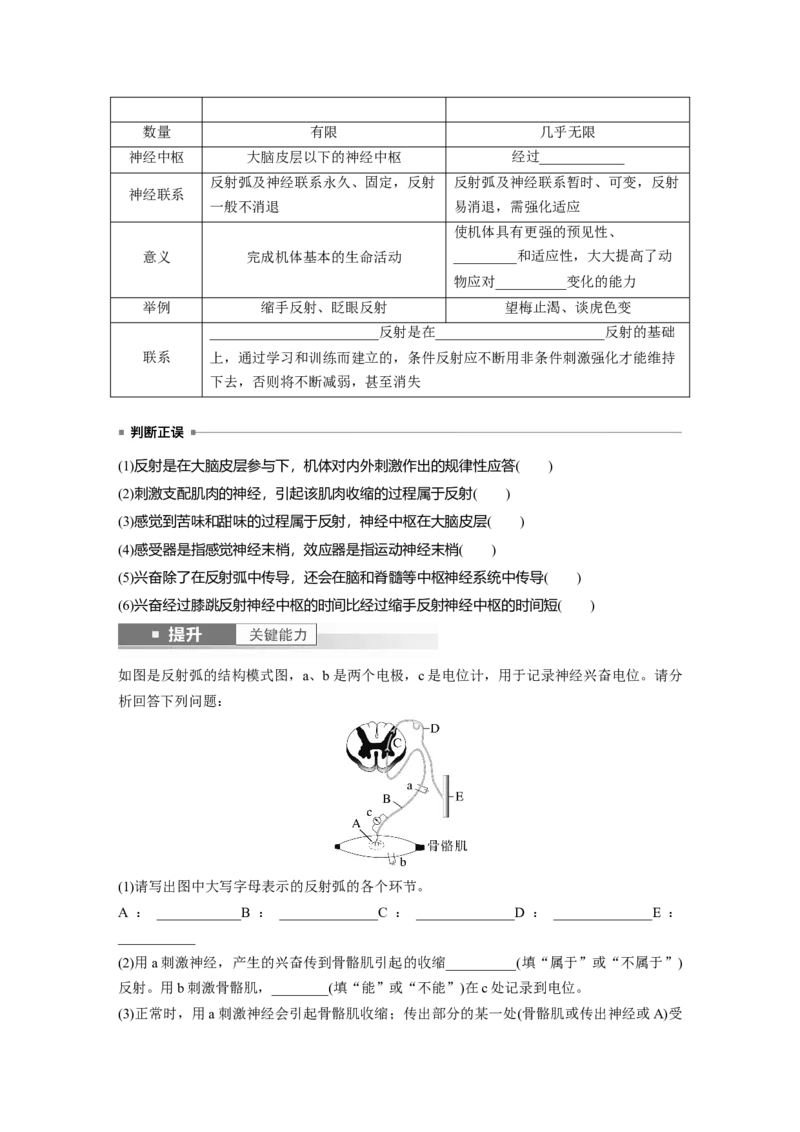 第八单元　第37课时　神经调节的结构基础和基本方式_2025年新高考资料_一轮复习_2025大一轮复习讲义+课件（完结）_2025大一轮复习讲义生物学生用书Word版文档整书_2025大一轮复习讲义
