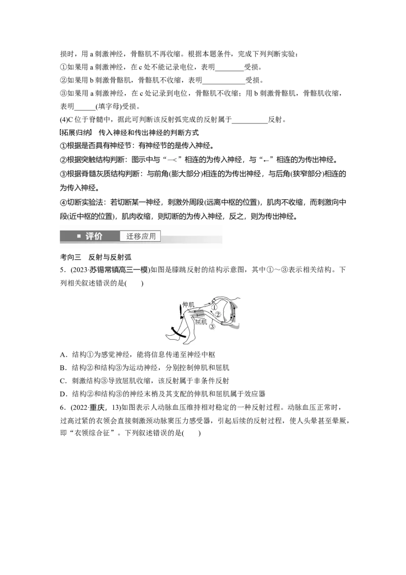 第八单元　第37课时　神经调节的结构基础和基本方式_2025年新高考资料_一轮复习_2025大一轮复习讲义+课件（完结）_2025大一轮复习讲义生物学生用书Word版文档整书_2025大一轮复习讲义