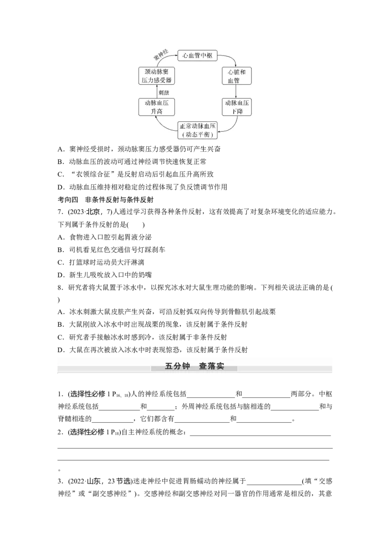 第八单元　第37课时　神经调节的结构基础和基本方式_2025年新高考资料_一轮复习_2025大一轮复习讲义+课件（完结）_2025大一轮复习讲义生物学生用书Word版文档整书_2025大一轮复习讲义