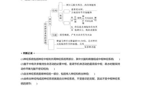 第八单元　第37课时　神经调节的结构基础和基本方式_2025年新高考资料_一轮复习_2025大一轮复习讲义+课件（完结）_2025大一轮复习讲义生物学生用书Word版文档整书_2025大一轮复习讲义