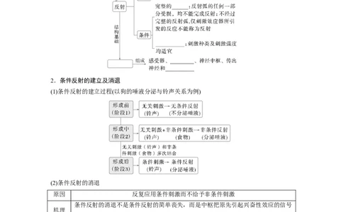 第八单元　第37课时　神经调节的结构基础和基本方式_2025年新高考资料_一轮复习_2025大一轮复习讲义+课件（完结）_2025大一轮复习讲义生物学生用书Word版文档整书_2025大一轮复习讲义