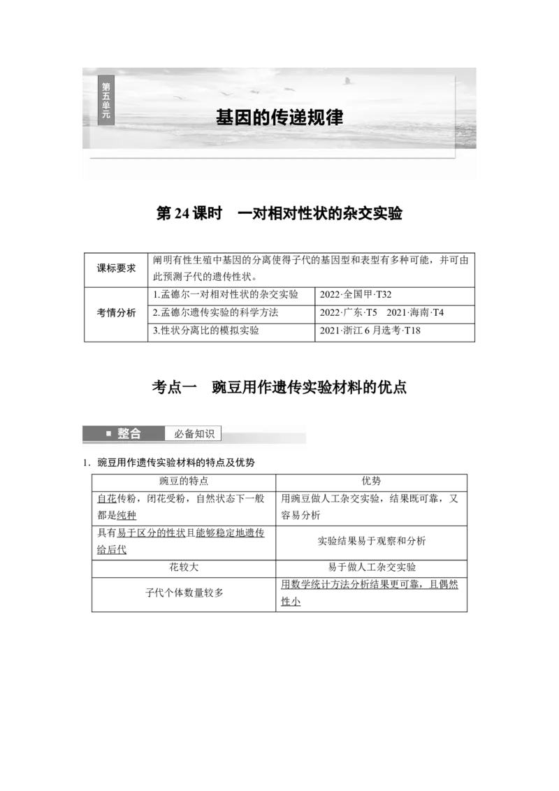 第五单元　第24课时　一对相对性状的杂交实验_2025年新高考资料_一轮复习_2025大一轮复习讲义+课件（完结）_2025大一轮复习讲义生物教师用书Word版文档整书