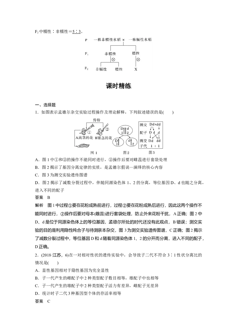 第五单元　第24课时　一对相对性状的杂交实验_2025年新高考资料_一轮复习_2025大一轮复习讲义+课件（完结）_2025大一轮复习讲义生物教师用书Word版文档整书
