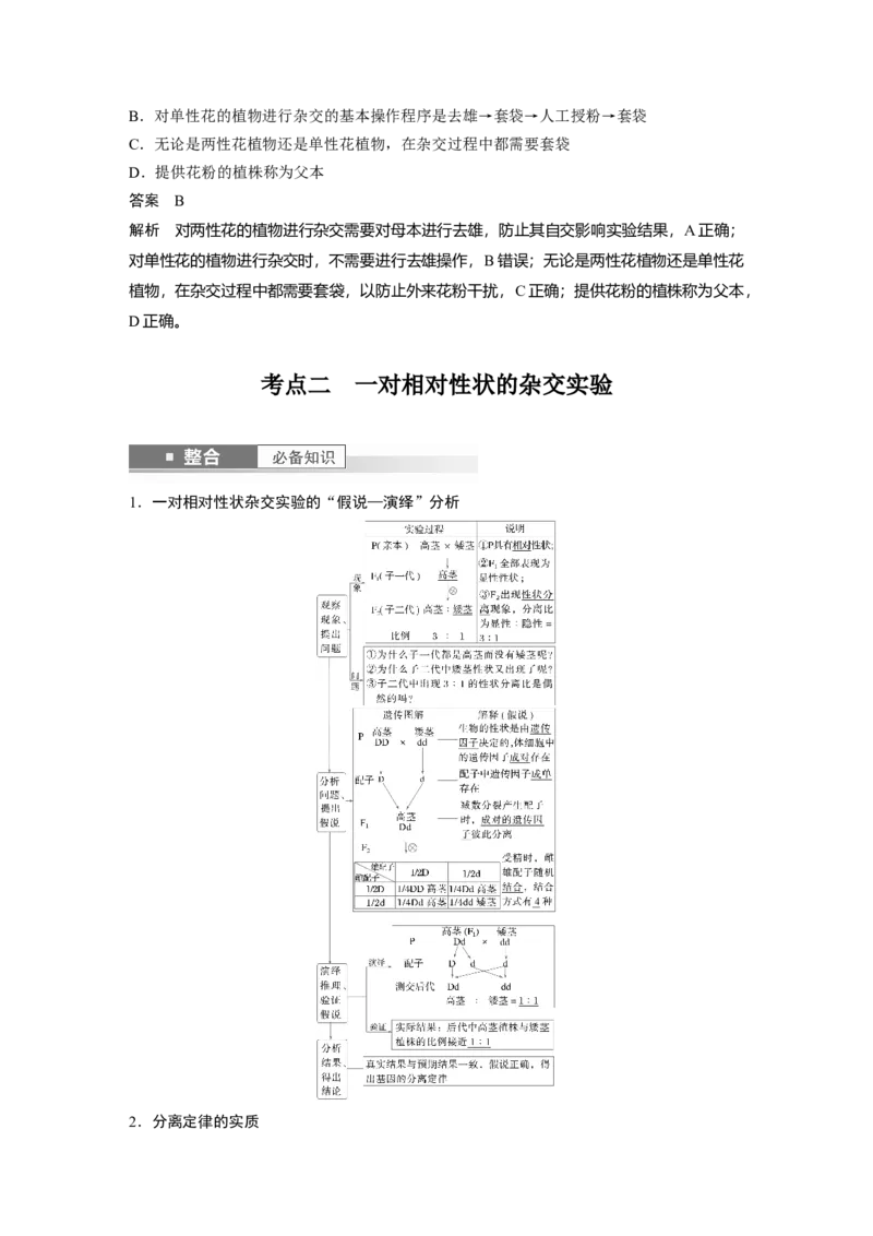 第五单元　第24课时　一对相对性状的杂交实验_2025年新高考资料_一轮复习_2025大一轮复习讲义+课件（完结）_2025大一轮复习讲义生物教师用书Word版文档整书