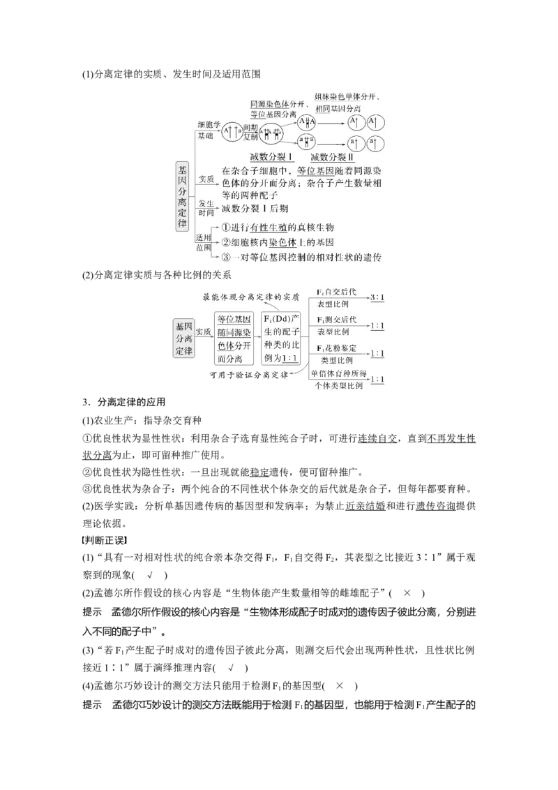 第五单元　第24课时　一对相对性状的杂交实验_2025年新高考资料_一轮复习_2025大一轮复习讲义+课件（完结）_2025大一轮复习讲义生物教师用书Word版文档整书