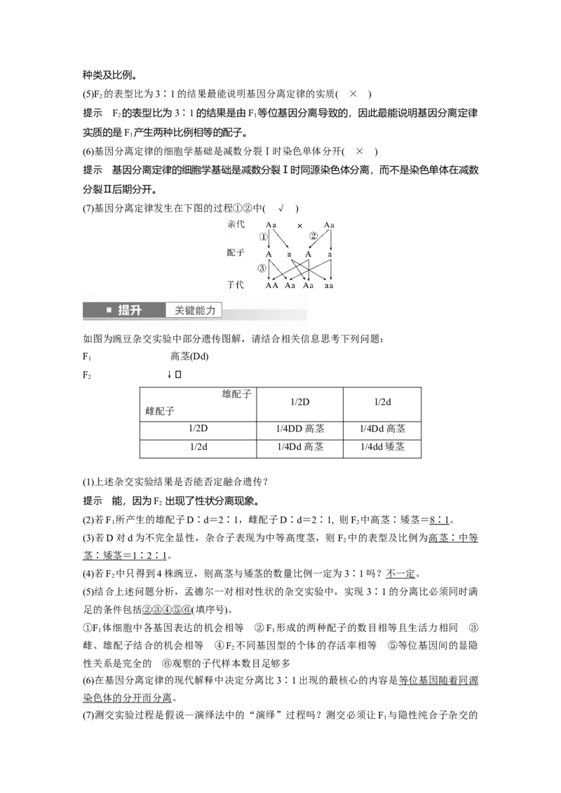 第五单元　第24课时　一对相对性状的杂交实验_2025年新高考资料_一轮复习_2025大一轮复习讲义+课件（完结）_2025大一轮复习讲义生物教师用书Word版文档整书