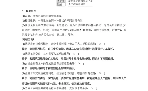 第五单元　第24课时　一对相对性状的杂交实验_2025年新高考资料_一轮复习_2025大一轮复习讲义+课件（完结）_2025大一轮复习讲义生物教师用书Word版文档整书