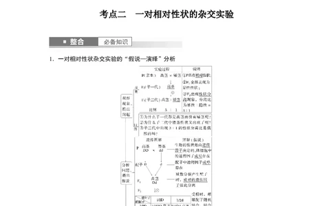 第五单元　第24课时　一对相对性状的杂交实验_2025年新高考资料_一轮复习_2025大一轮复习讲义+课件（完结）_2025大一轮复习讲义生物教师用书Word版文档整书