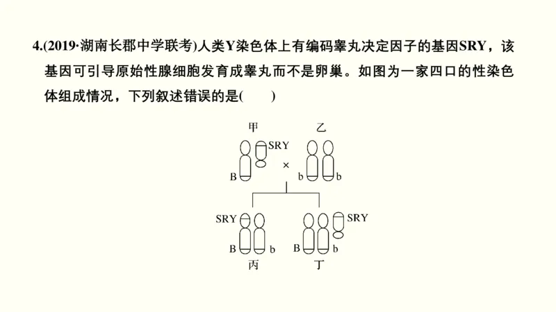 第七单元伴性遗传和人类遗传病（教案）_新高考复习资料_2022年新高考复习资料_2022届一轮复习讲练结合7.13更新_系列一_第七单元伴性遗传和人类遗传病