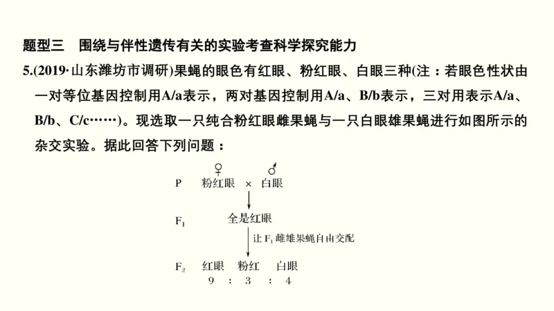 第七单元伴性遗传和人类遗传病（教案）_新高考复习资料_2022年新高考复习资料_2022届一轮复习讲练结合7.13更新_系列一_第七单元伴性遗传和人类遗传病
