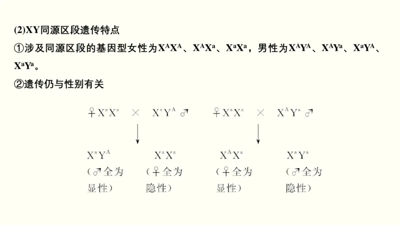 第七单元伴性遗传和人类遗传病（教案）_新高考复习资料_2022年新高考复习资料_2022届一轮复习讲练结合7.13更新_系列一_第七单元伴性遗传和人类遗传病