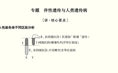 第七单元伴性遗传和人类遗传病（教案）_新高考复习资料_2022年新高考复习资料_2022届一轮复习讲练结合7.13更新_系列一_第七单元伴性遗传和人类遗传病