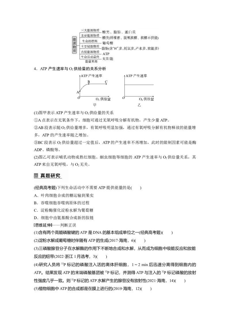 第一篇专题二考点一　细胞内的能量通货&mdash;&mdash;ATP_通用版（老高考）复习资料_2023年复习资料_二轮复习_2023年高考生物二轮复习讲义+课件（全国版）_2023年高考生物二轮复习讲义（全国版）