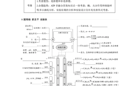 第一篇专题二考点一　细胞内的能量通货&mdash;&mdash;ATP_通用版（老高考）复习资料_2023年复习资料_二轮复习_2023年高考生物二轮复习讲义+课件（全国版）_2023年高考生物二轮复习讲义（全国版）