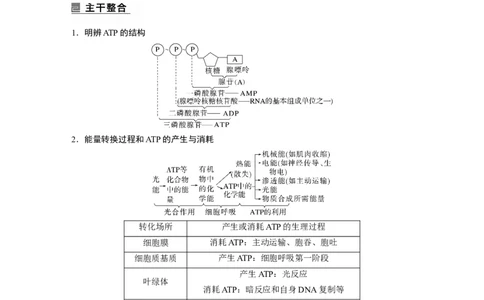 第一篇专题二考点一　细胞内的能量通货&mdash;&mdash;ATP_通用版（老高考）复习资料_2023年复习资料_二轮复习_2023年高考生物二轮复习讲义+课件（全国版）_2023年高考生物二轮复习讲义（全国版）