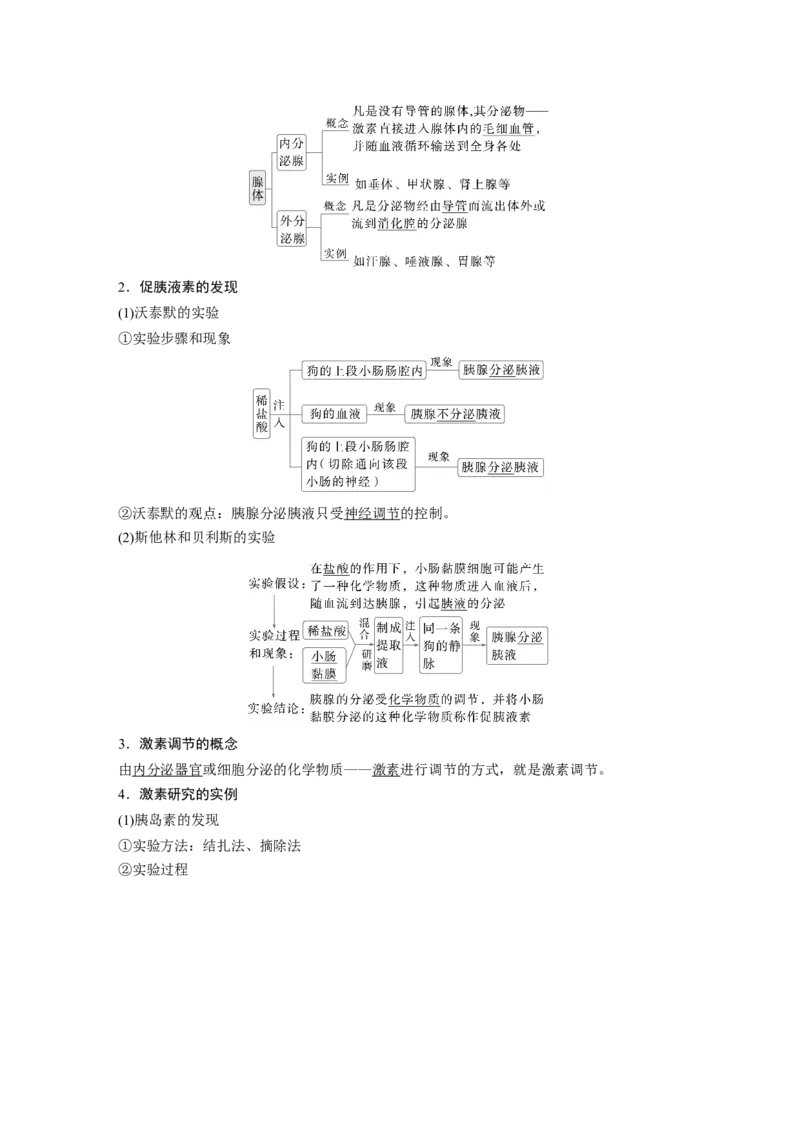 第八单元　第40课时　激素与内分泌调节及激素调节的过程_2025年新高考资料_一轮复习_2025大一轮复习讲义+课件（完结）_2025大一轮复习讲义生物教师用书Word版文档整书