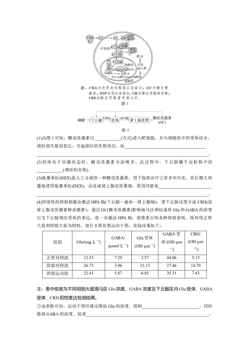 第八单元　第40课时　激素与内分泌调节及激素调节的过程_2025年新高考资料_一轮复习_2025大一轮复习讲义+课件（完结）_2025大一轮复习讲义生物教师用书Word版文档整书