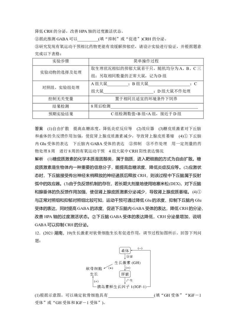 第八单元　第40课时　激素与内分泌调节及激素调节的过程_2025年新高考资料_一轮复习_2025大一轮复习讲义+课件（完结）_2025大一轮复习讲义生物教师用书Word版文档整书